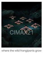 Where the Wild Frangipanis Grow (2023)